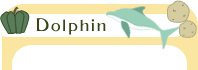 Dolphin - ドルフィン 会社概要